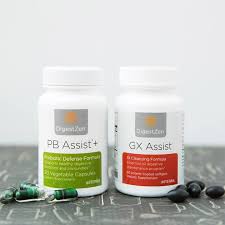 GX-PB-Assist